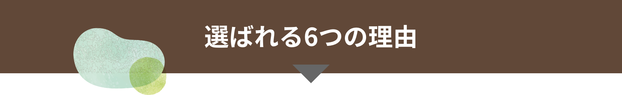 選ばれる６つの理由